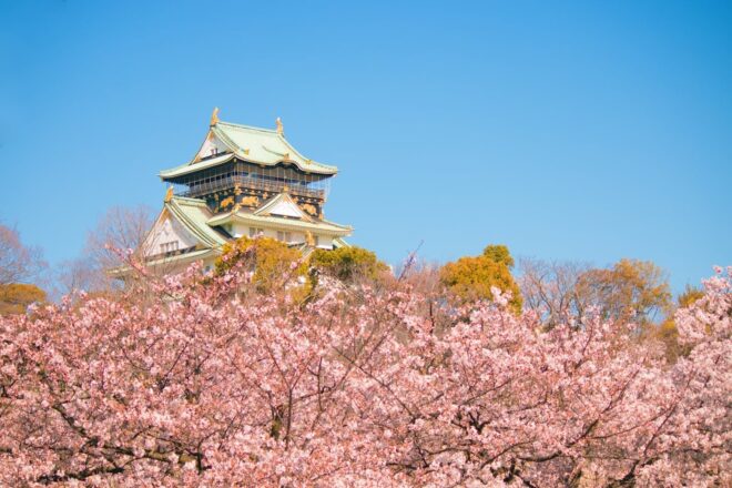 Why do Japanese people love cherry blossoms so much? Find the perfect sakura or picnic spot in central Osaka!